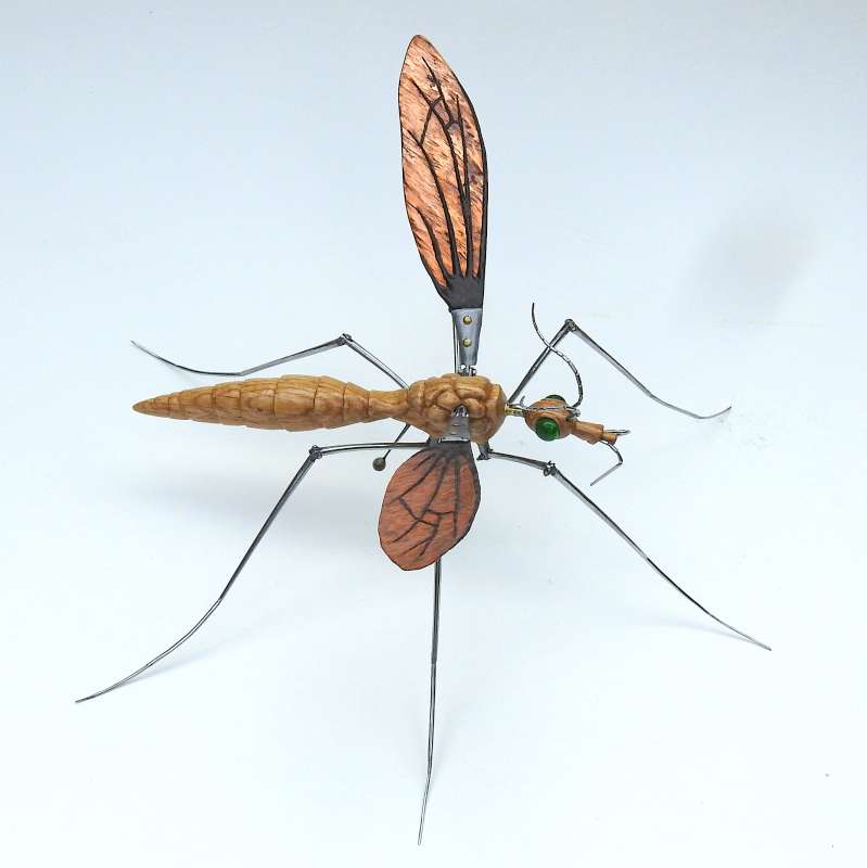 Crane Fly